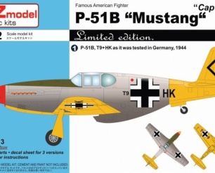 P-51B Mustang Captured