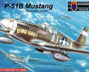 P-51 B Mustang - Malcolm Hood